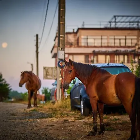 Velekasunrise Apartament
