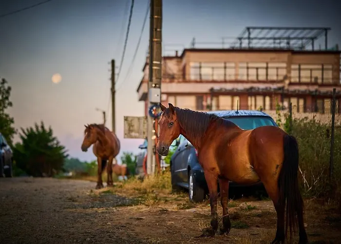 Velekasunrise Διαμέρισμα